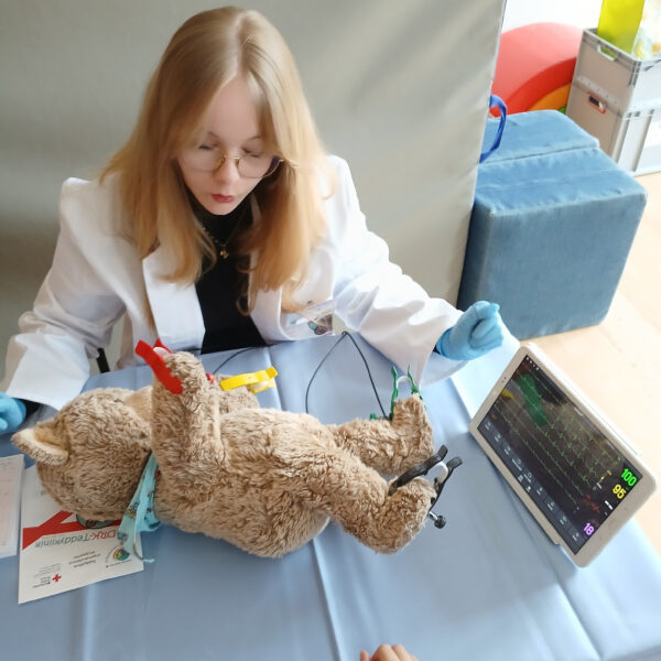 Teddyklinik (50)